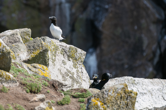 Ireland May 2016 (21)